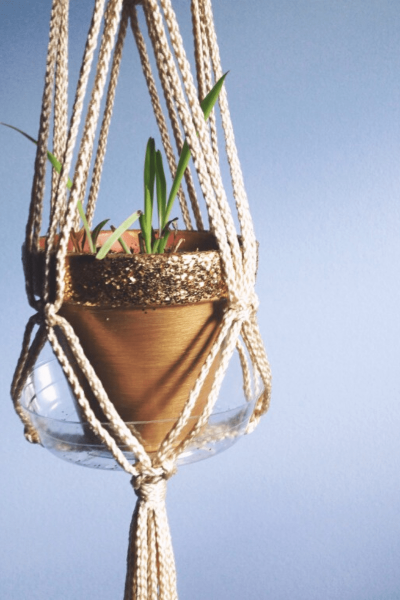 simple rope plant hanger with terra cotta pot and plastic drip tray indoors
