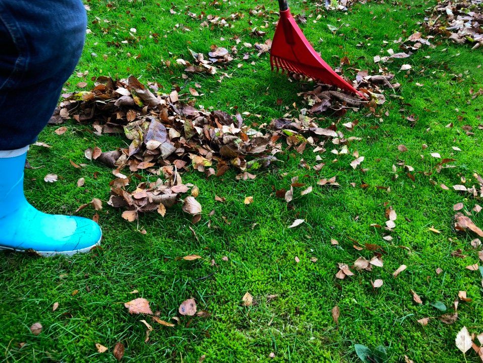 rake leaves with closed to e shoes garden shoe safety hack