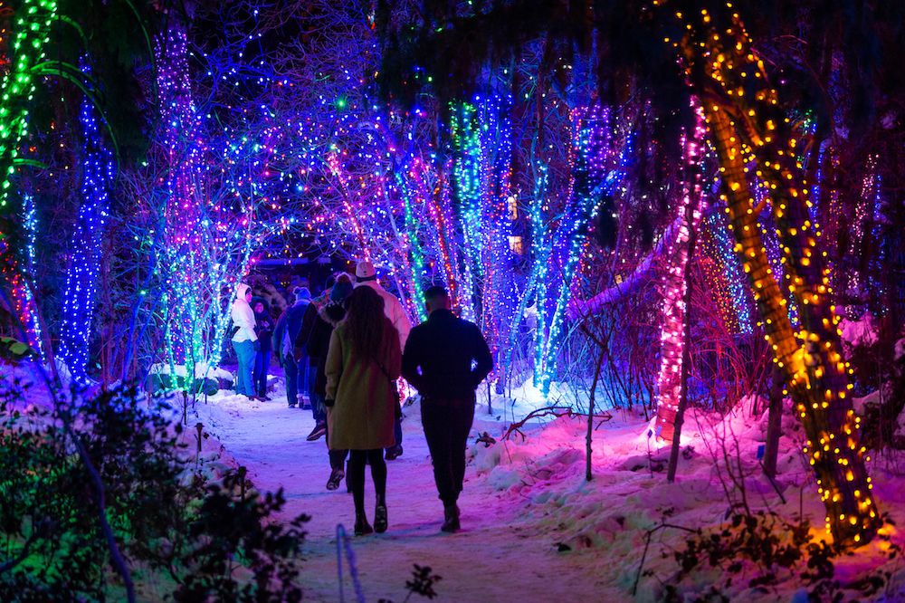 42 Of The Best Christmas Light Displays In The United States