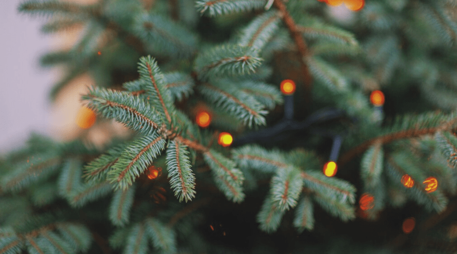 Best Prelit Christmas Trees for 2021