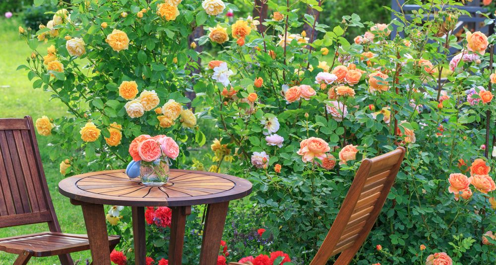 Romantic sitting area in the rose garden