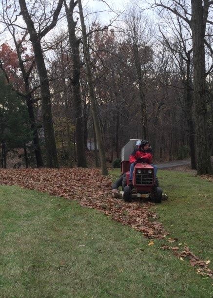 mowing dead leaves into the grass leaf raking hack