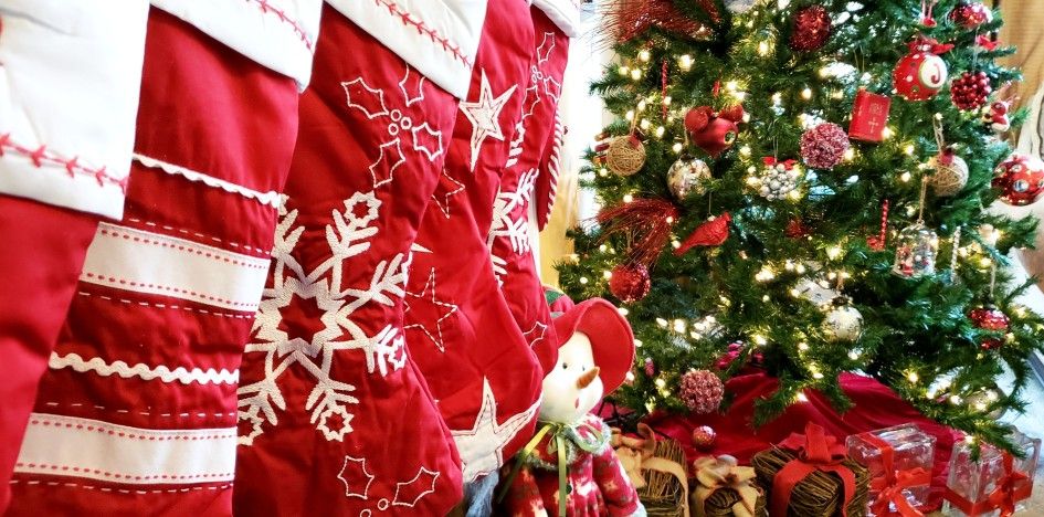stockings hanging in a row by a christmas tree