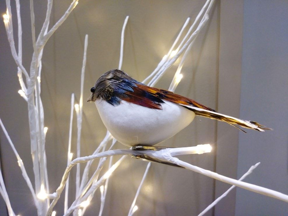 woodland style ornament bird on white tree closeup
