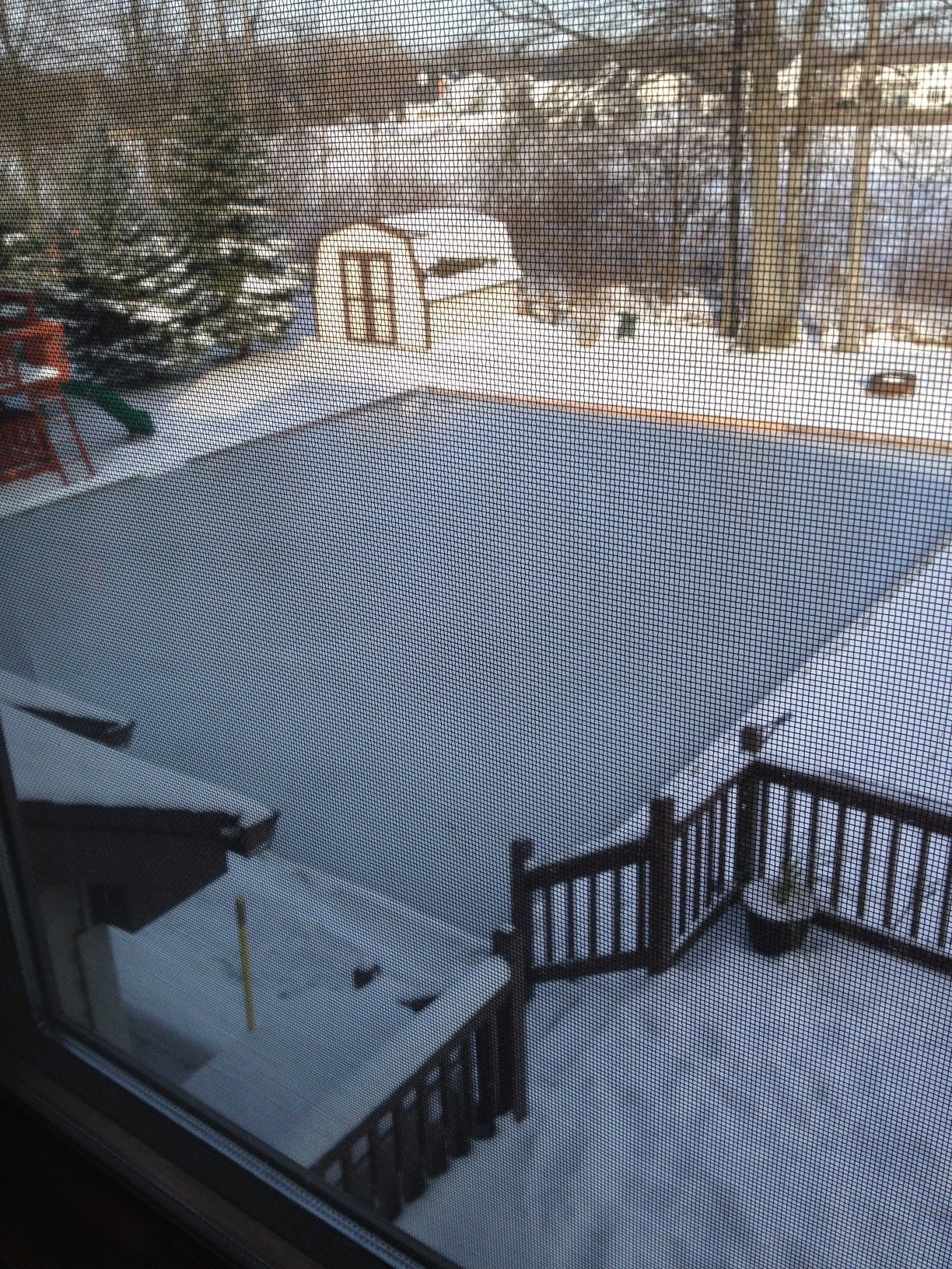 backyard ice rink fully frozen