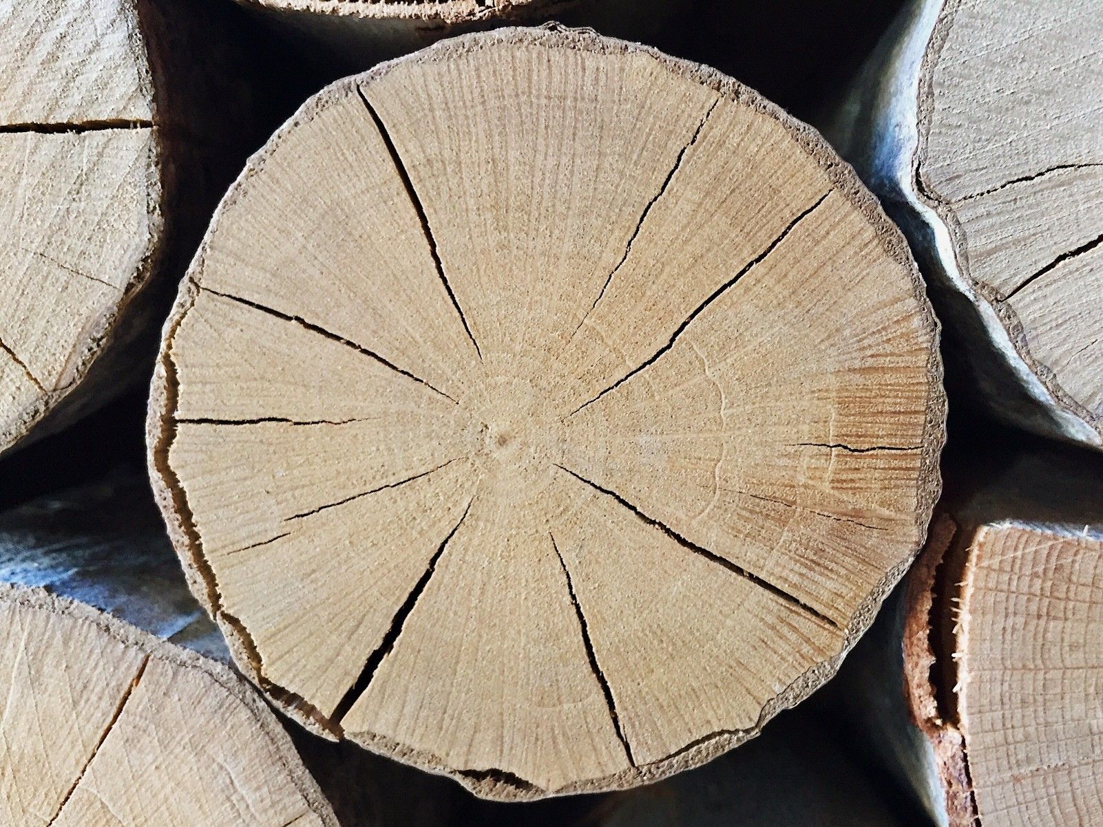 seasoned wood from cut end with no bark in stacks