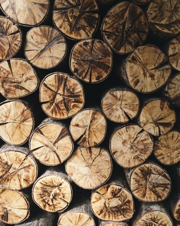 firewood deep cracks in seasoned dry wood from cut ends