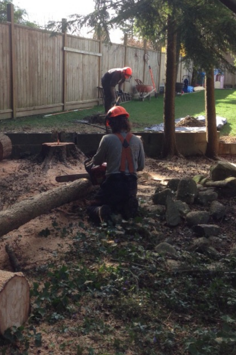 Stihl vs. Husqvarna Chainsaws Which Brand Is Best?