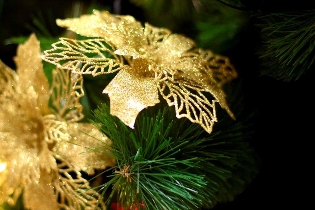  gold poinsettia elegant decorations tree