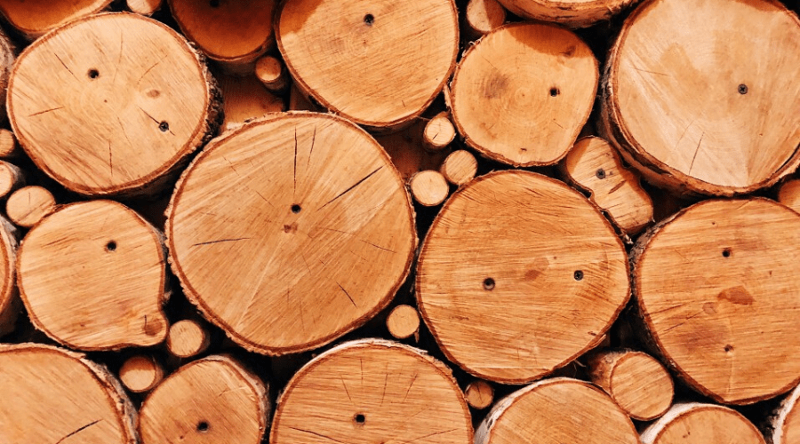 Is Oak Good for Firewood? Oak Firewood Guide