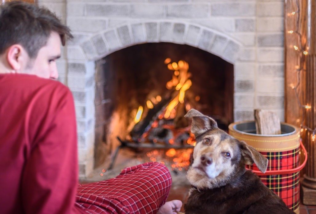 Sitting by fireplace with dog indoors wood fire