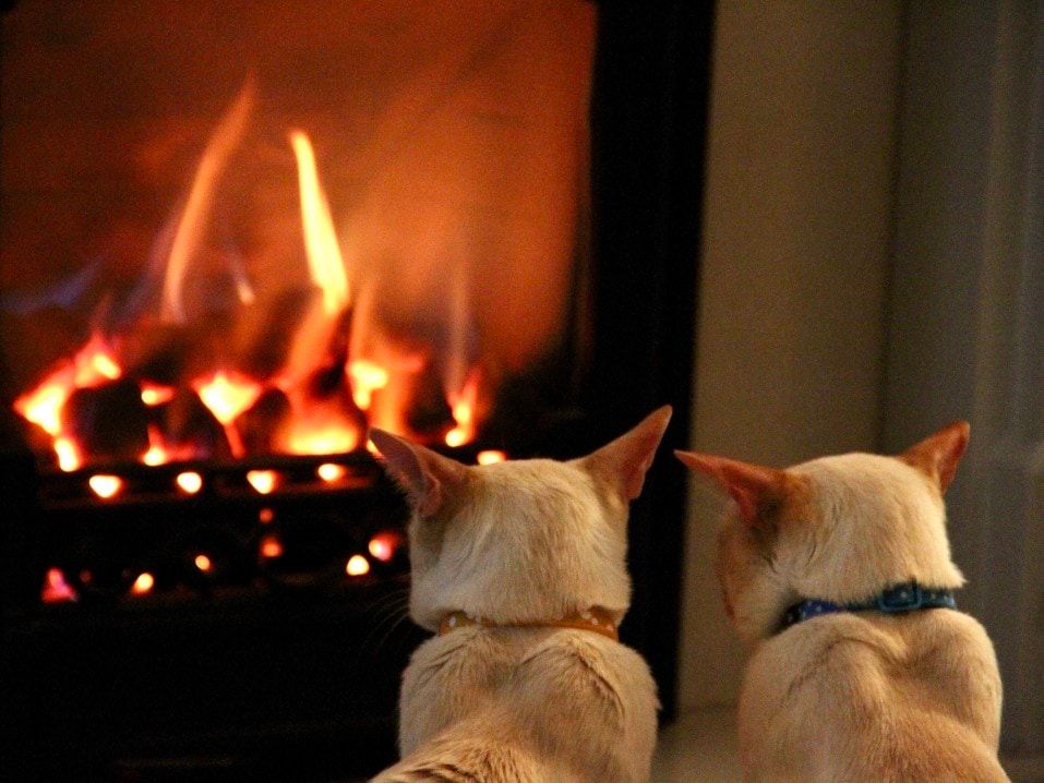 Do Creosote Remover Logs Really Work? What You Should Know