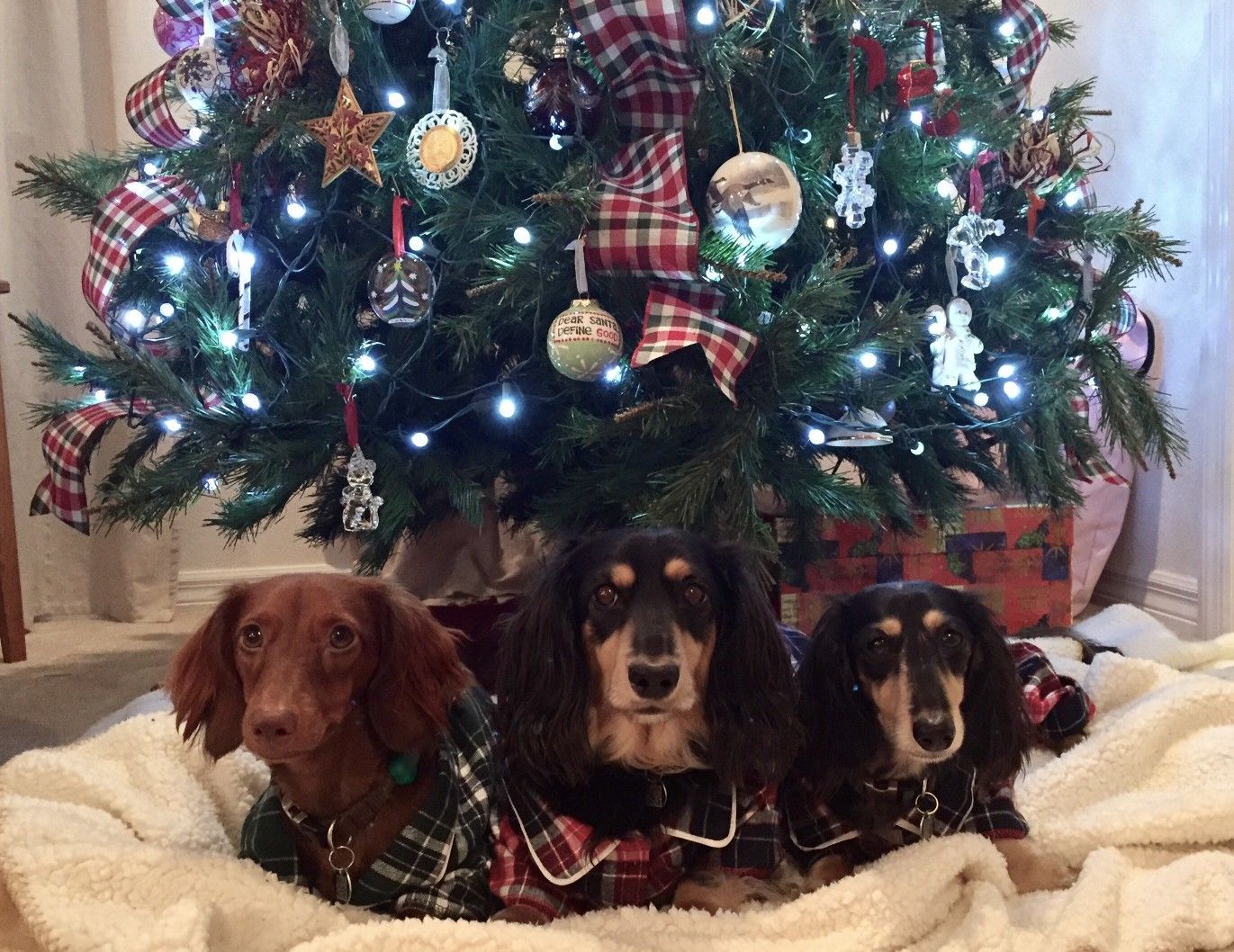 plaid christmas tree decoration ideas and pet tax