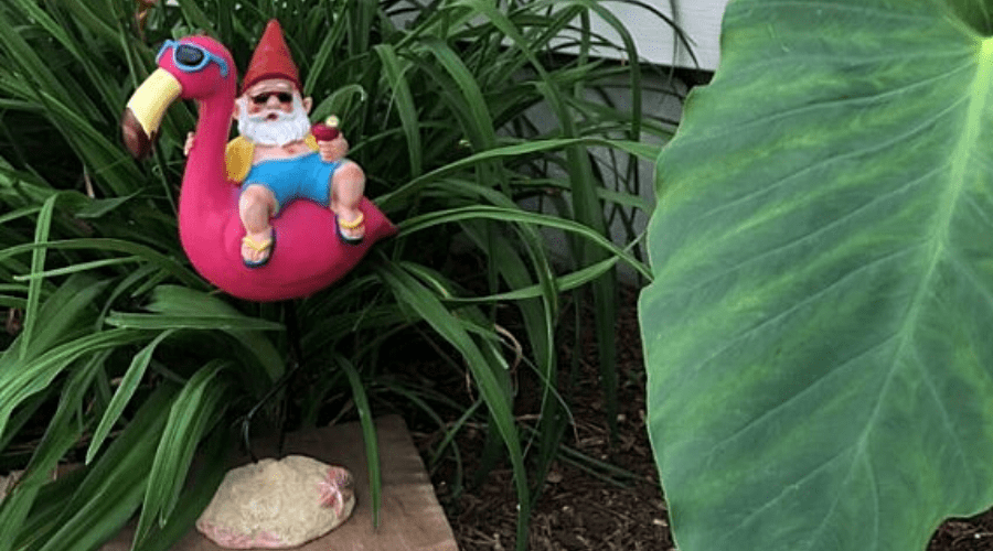 santa gnome on pink flamingo outdoors in flower bed