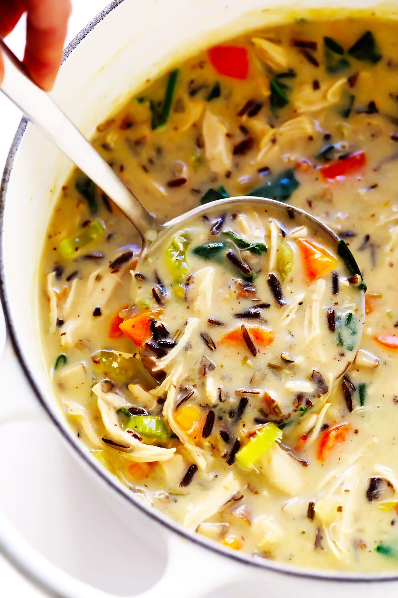 CHICKEN AND WILD RICE SOUP