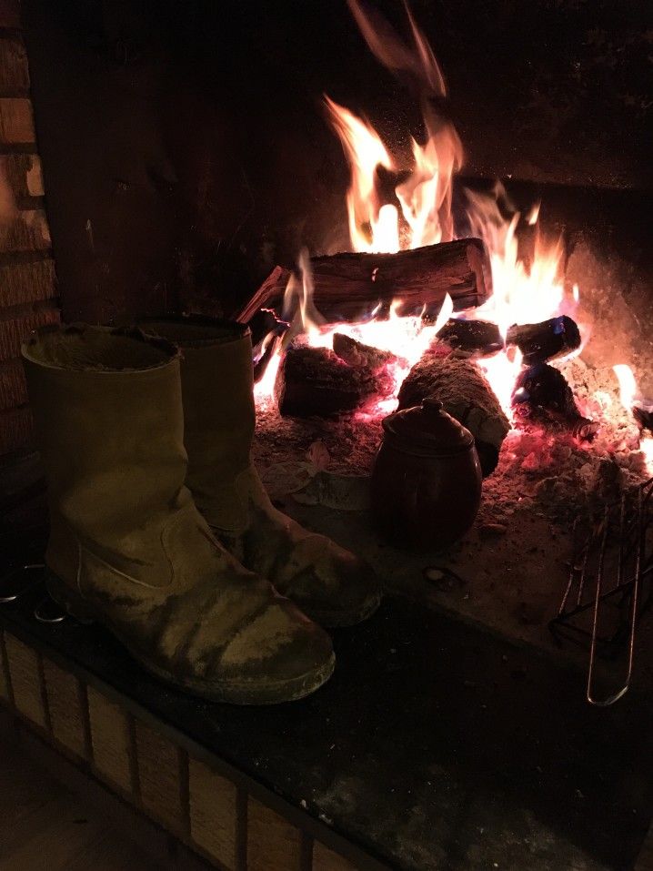 Is Almond Good Firewood? A Guide to Heating with Almond Wood