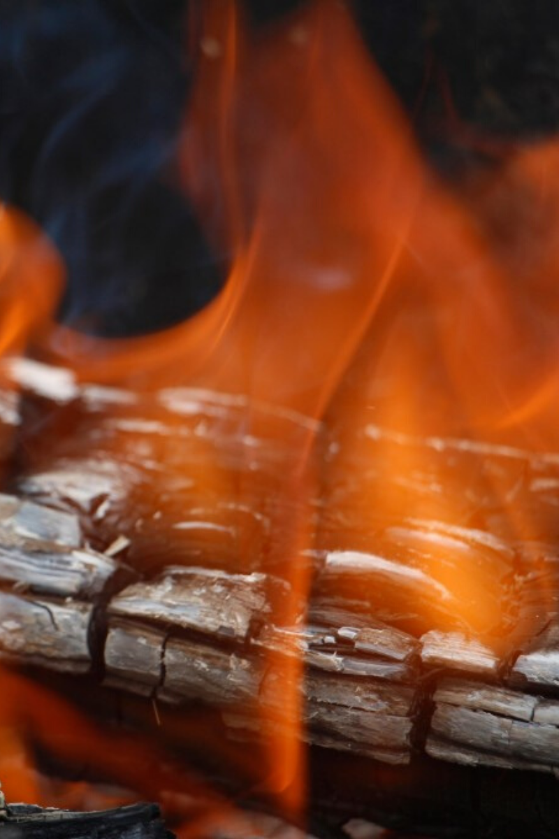 closeup birch firewood bonfire burning birchwood log