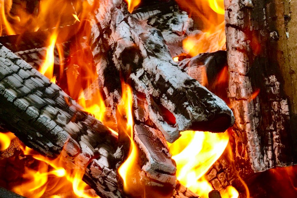 Is Almond Good Firewood? A Guide to Heating with Almond Wood