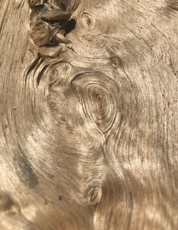 Is Poplar Good Firewood? A Guide to Burning Poplar Wood