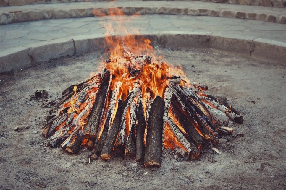 Is Poplar Good Firewood? A Guide to Burning Poplar Wood