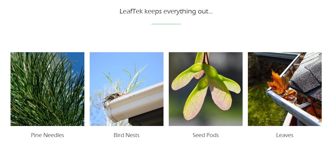 leaftek keeps everything out, pine needles, bird nests, seed pods, leaves