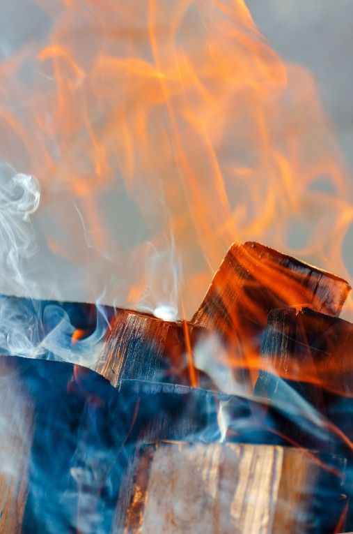 cottonwood firewoood closeup burning cotton wood