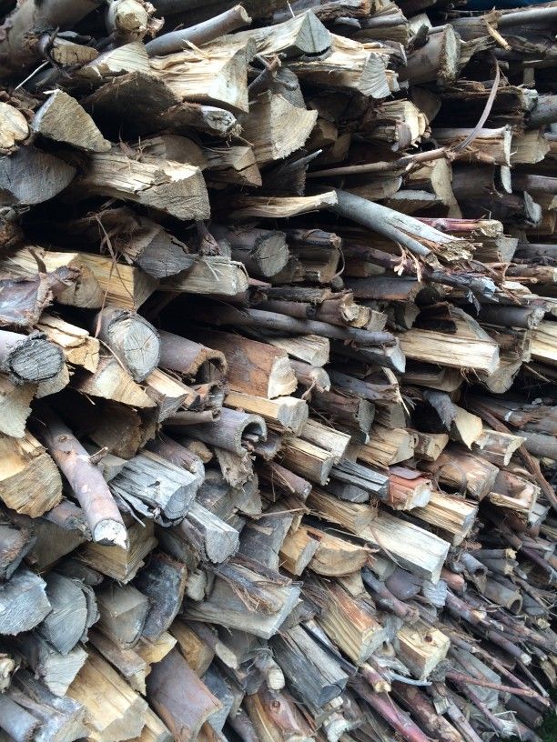 kindling in wood stack outdoors curing firewood