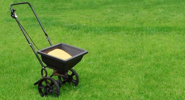 A cart filled with fertilizer standing on a bright green lawn.