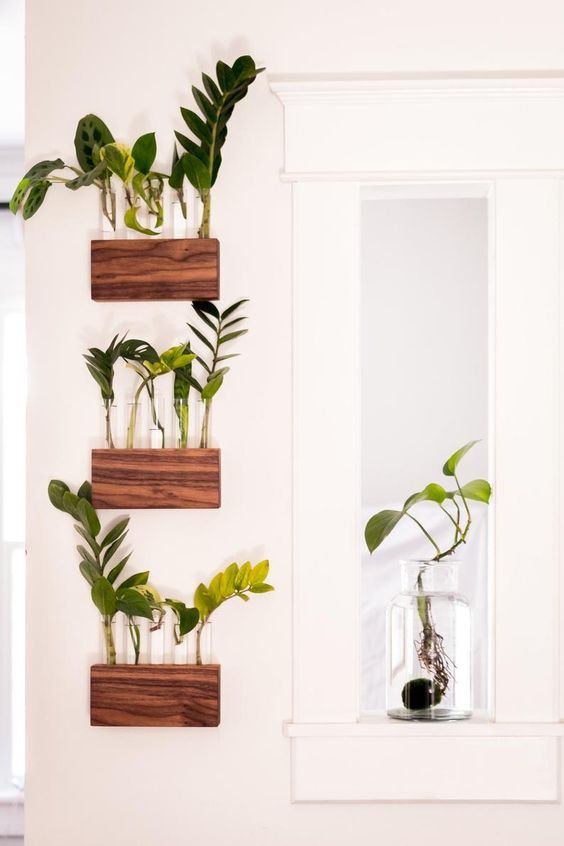 A Wall-hanging that doubles up as a Plant Display