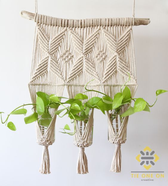 Natural Cotton Macramé Plant Hanger used for propagating Pothos cuttings
