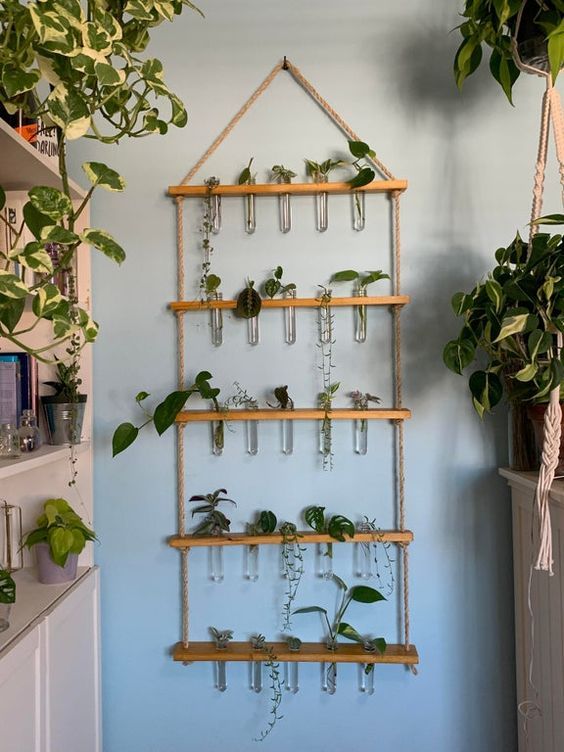 Wall Hanging With Plant Filled Glass Tubes Propagation Station Idea