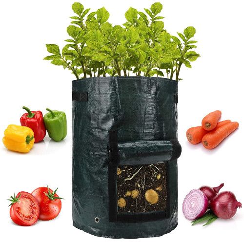 The Best Grow Bags to Grow Veggies Anywhere