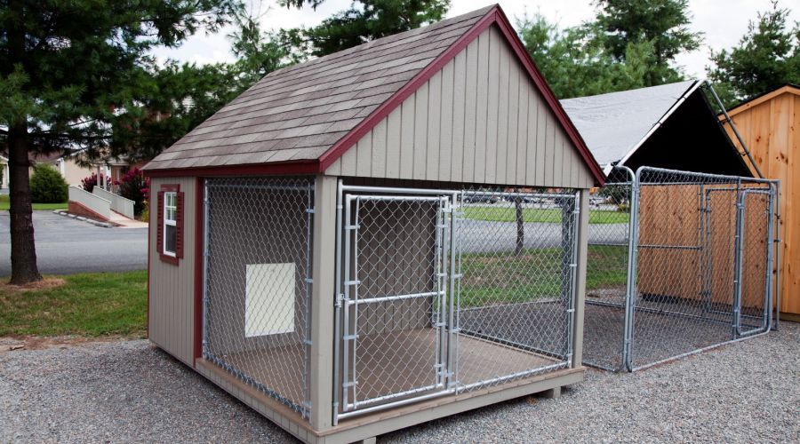Dog House Kennel standing on a gravel driveaway.