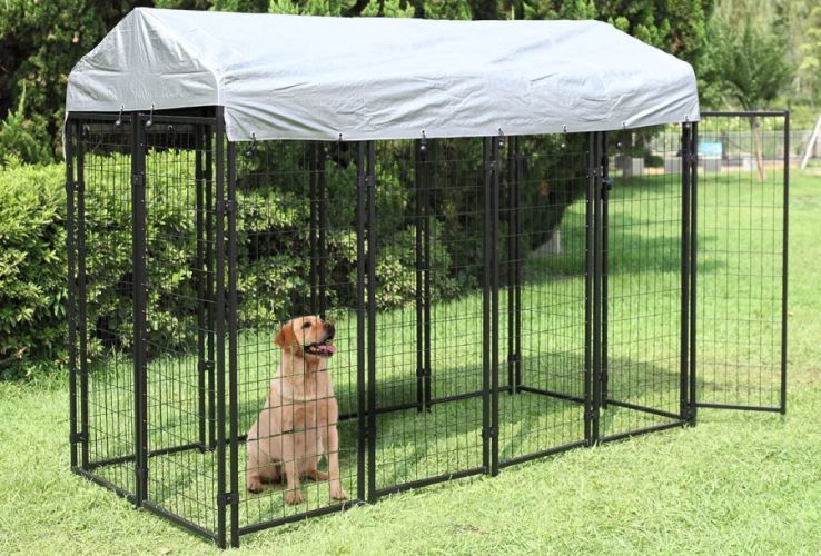 Dog sitting in a JAXPETY Large Dog Uptown Welded Wire Kennel that stands on green grass.