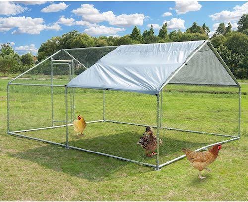 The Best Chicken Coops for the Backyard