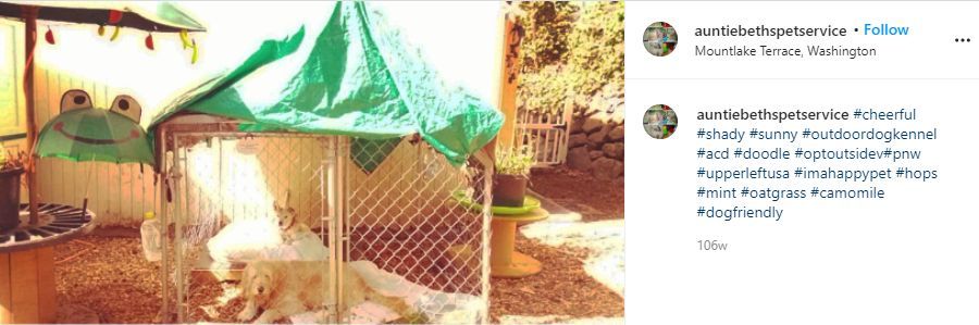 Instagram post screenshot of the Shady Outdoor Kennel with two dogs inside.