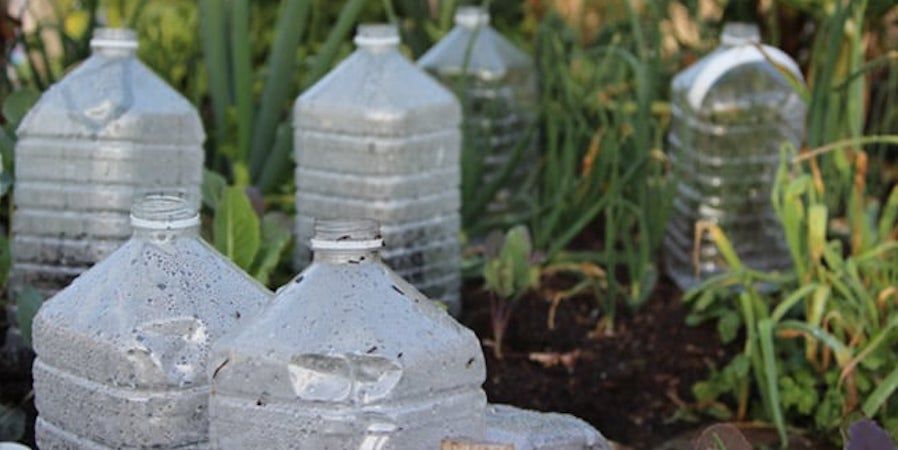 Plastic Bottles In The Garden