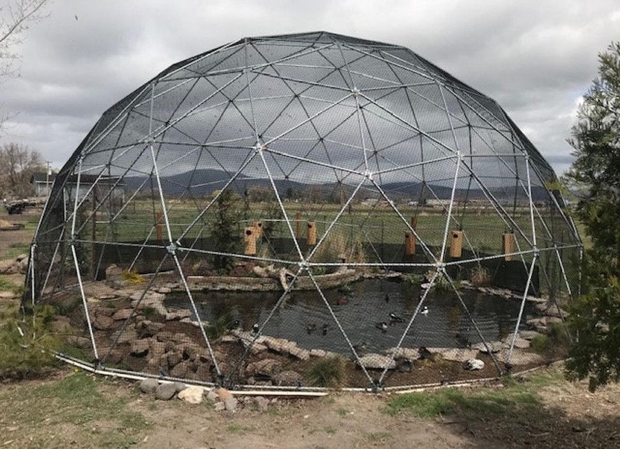 geodome aviary over duck pond