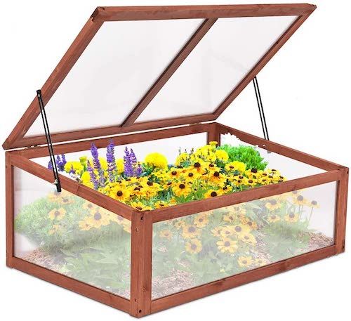 The Best Cold Frame for Your Vegetables