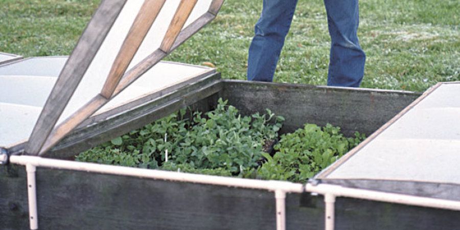 Wooden Cold Frame With PVC Piping