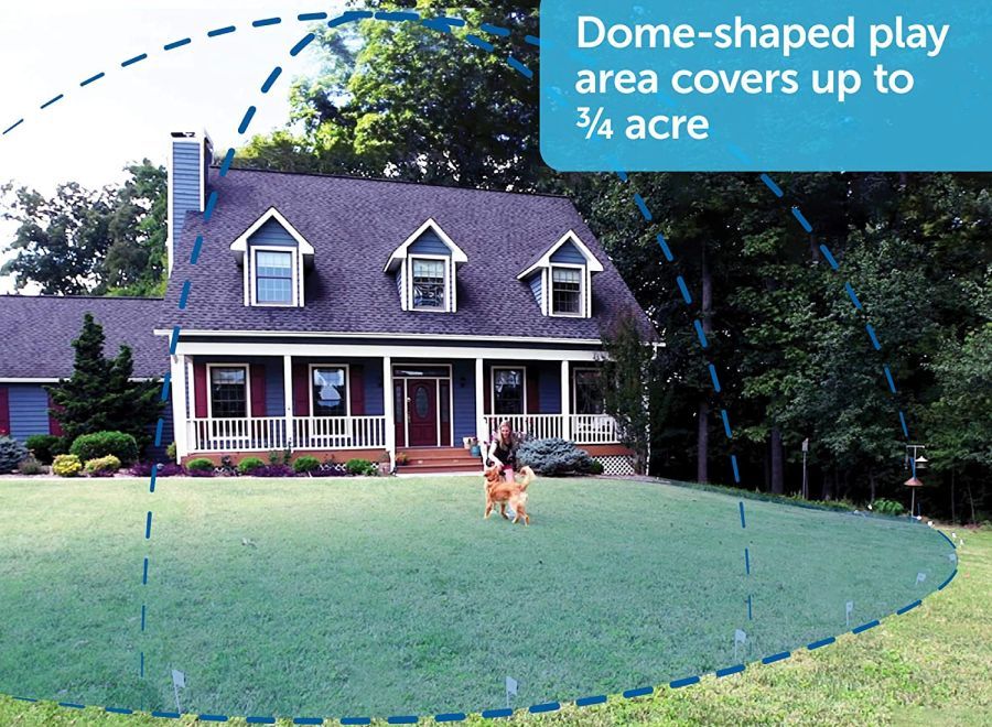 What Is a Wireless Dog Fence and How Does It Work?