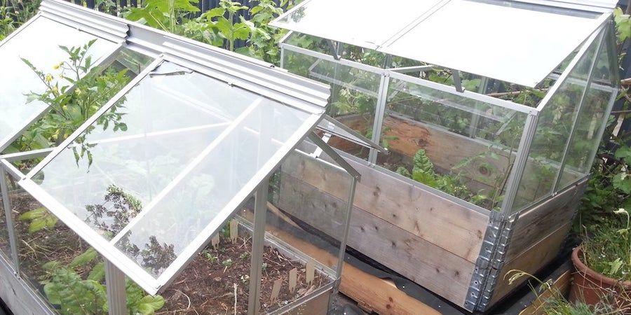 Self-watering Cold Frame