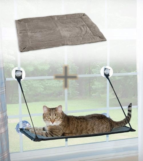 The Best Cat Hammock — Our 2021 Reviews