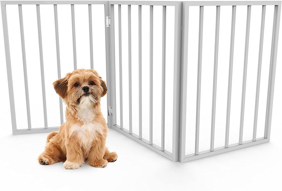 A young blonde and dog with a white chest sits in front of a white freestanding tri-folding dog gate.