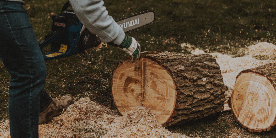 Cutting Large Log