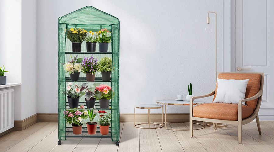 Best Indoor Greenhouse