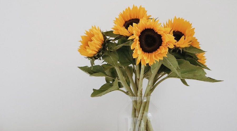 a bunch of sunflowers in a vase