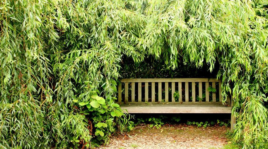 garden bench tucked away