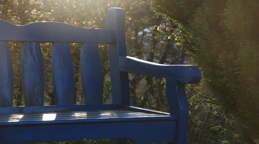 painted blue garden bench