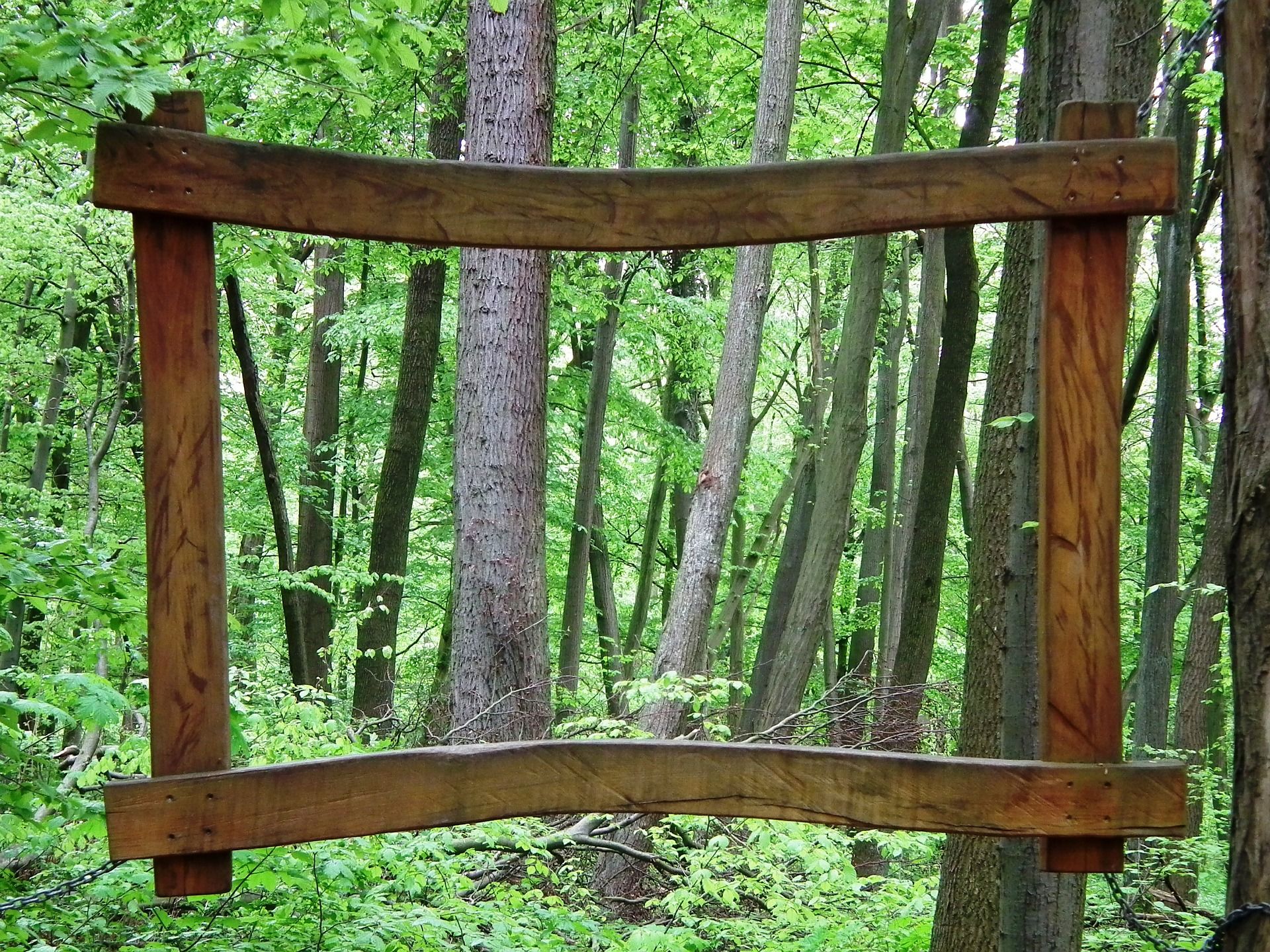 Wooden frame in the forest